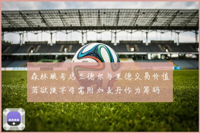 森林狼考虑兰德尔与里德交易价值若欲换字母需附加麦丹作为筹码