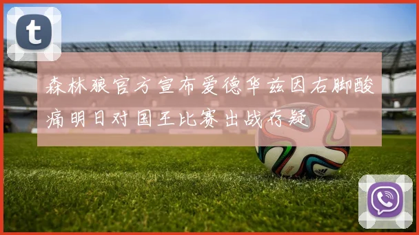森林狼官方宣布爱德华兹因右脚酸痛明日对国王比赛出战存疑