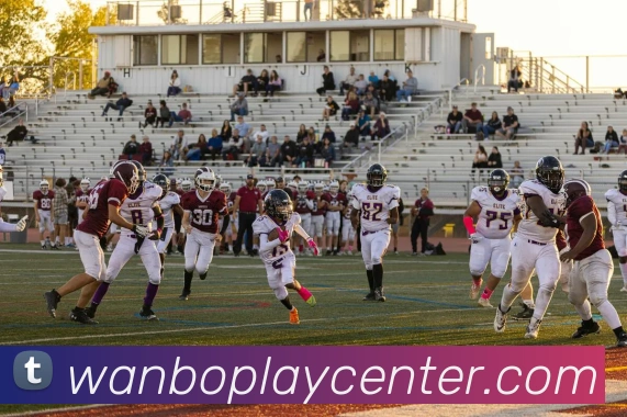 万博体育平台生态图