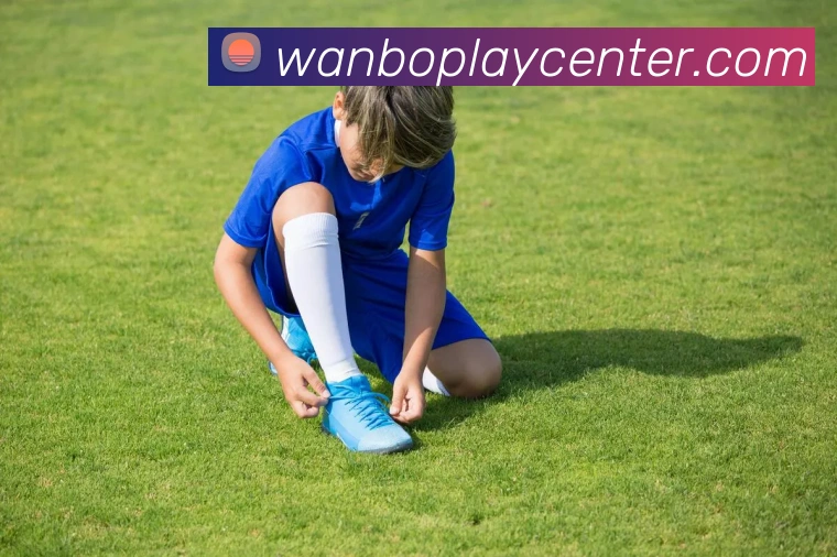 万博体育APP 封面图